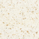 TO310 Quarry Oyster